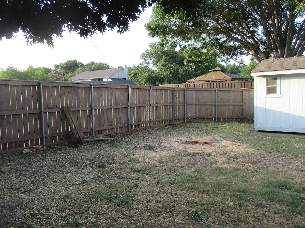 Cleared yard after professional tree removal in Champion